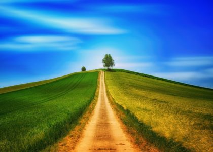 Miniatura per l'articolo intitolato:Non guardiamo il cielo perché amiamo poco?
