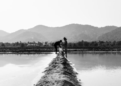 monochrome photo of farmers on a farmland
