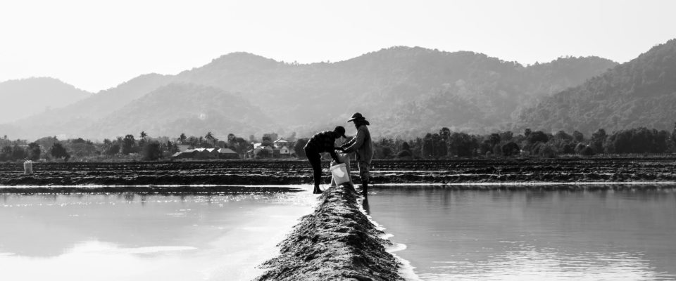 monochrome photo of farmers on a farmland