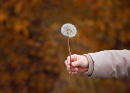 Miniatura per l'articolo intitolato:Povertà
