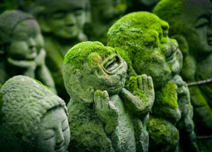 Miniatura per l'articolo intitolato:La coscienza: un’interpretazione