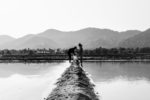 monochrome photo of farmers on a farmland