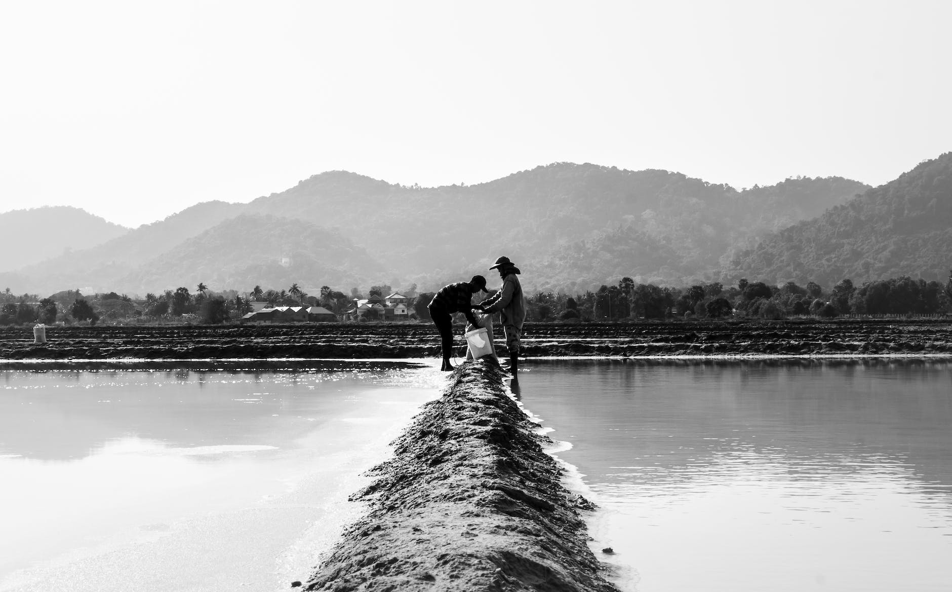 monochrome photo of farmers on a farmland